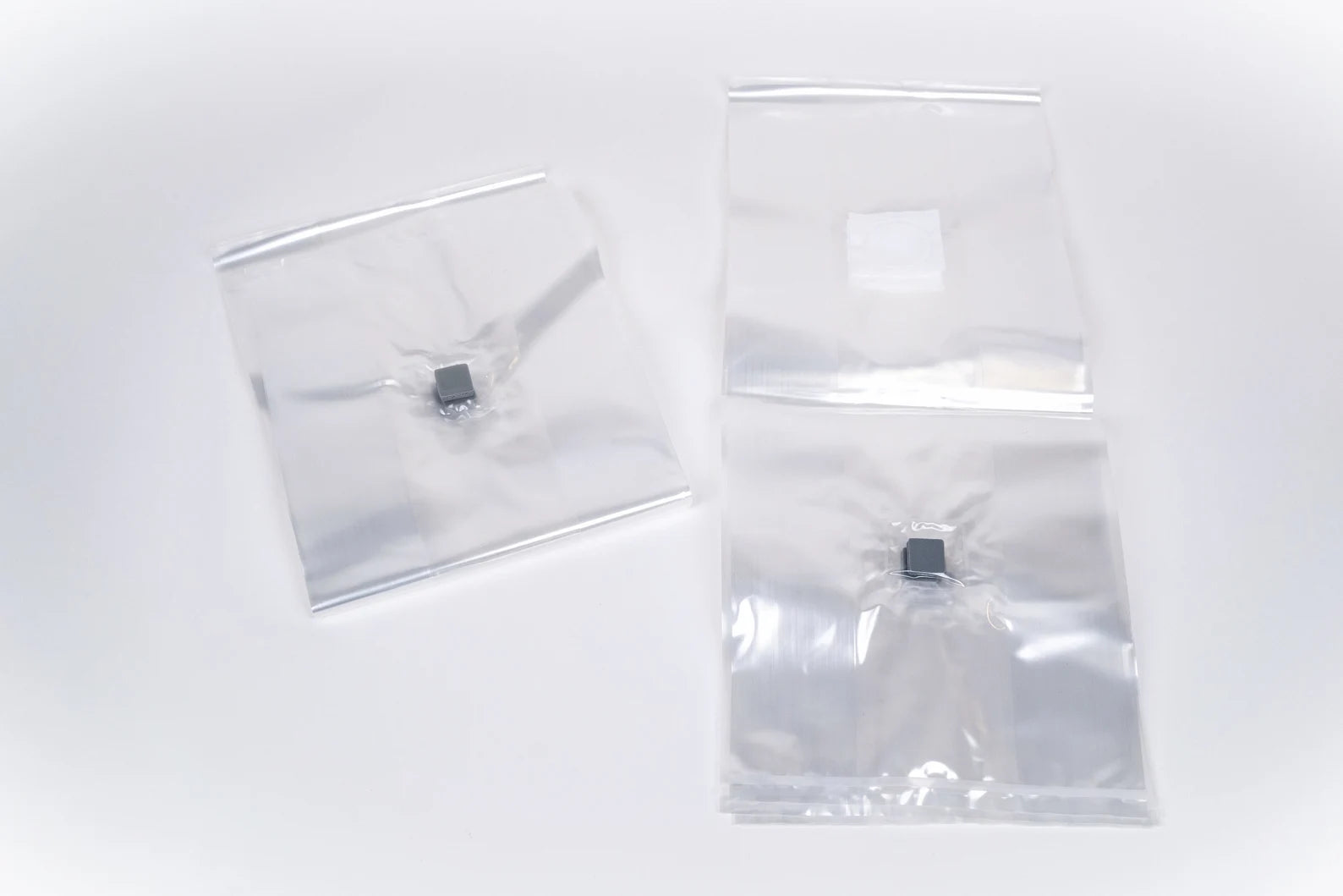 Pack of 10 Mushroom Spawn Bags